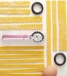 Tagliapasta Pastawheel rosa con due rotelle